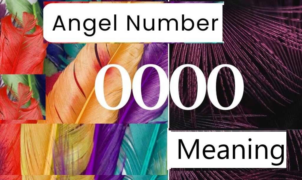0000 angel number meaning